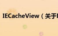 IECacheView（关于IECacheView的简介）