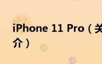iPhone 11 Pro（关于iPhone 11 Pro的简介）
