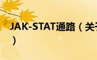 JAK-STAT通路（关于JAK-STAT通路的简介）