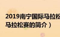 2019南宁国际马拉松赛（关于2019南宁国际马拉松赛的简介）