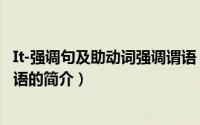 It-强调句及助动词强调谓语（关于It-强调句及助动词强调谓语的简介）