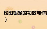 松阳银猴的功效与作用（松阳银猴的正确泡法）