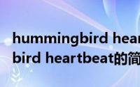 hummingbird heartbeat（关于hummingbird heartbeat的简介）
