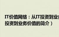 IT价值网络：从IT投资到业务价值（关于IT价值网络：从IT投资到业务价值的简介）