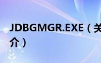 JDBGMGR.EXE（关于JDBGMGR.EXE的简介）