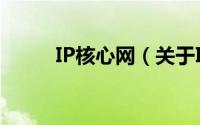 IP核心网（关于IP核心网的简介）