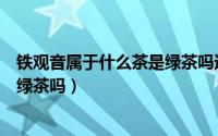 铁观音属于什么茶是绿茶吗还是黄茶（铁观音属于什么茶是绿茶吗）