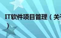IT软件项目管理（关于IT软件项目管理的简介）