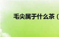 毛尖属于什么茶（龙井属于什么茶）