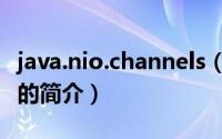 java.nio.channels（关于java.nio.channels的简介）