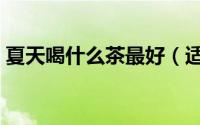 夏天喝什么茶最好（适合夏天喝的茶有哪些）