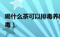 喝什么茶可以排毒养颜美容（喝什么茶可以排毒）