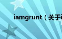 iamgrunt（关于iamgrunt的简介）