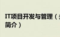 IT项目开发与管理（关于IT项目开发与管理的简介）