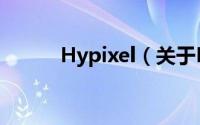 Hypixel（关于Hypixel的简介）