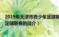 2019年天津市青少年足球联赛（关于2019年天津市青少年足球联赛的简介）