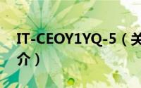 IT-CEOY1YQ-5（关于IT-CEOY1YQ-5的简介）