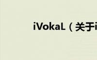 iVokaL（关于iVokaL的简介）