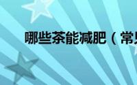 哪些茶能减肥（常见的减肥茶有哪些）