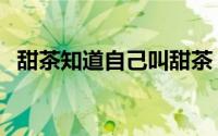 甜茶知道自己叫甜茶（甜茶为什么叫甜茶）