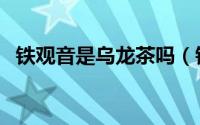 铁观音是乌龙茶吗（铁观音属于乌龙茶吗）