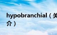 hypobranchial（关于hypobranchial的简介）