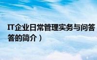 IT企业日常管理实务与问答（关于IT企业日常管理实务与问答的简介）