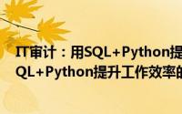 IT审计：用SQL+Python提升工作效率（关于IT审计：用SQL+Python提升工作效率的简介）