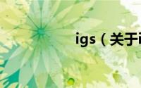 igs（关于igs的简介）