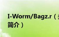 I-Worm/Bagz.r（关于I-Worm/Bagz.r的简介）