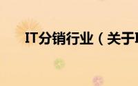 IT分销行业（关于IT分销行业的简介）