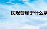 铁观音属于什么茶（铁观音的泡法）