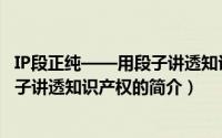 IP段正纯——用段子讲透知识产权（关于IP段正纯——用段子讲透知识产权的简介）
