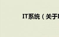 IT系统（关于IT系统的简介）