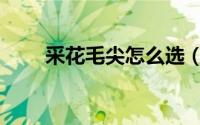 采花毛尖怎么选（采花毛尖怎么喝）