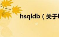 hsqldb（关于hsqldb的简介）