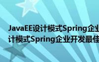 JavaEE设计模式Spring企业开发最佳实践（关于JavaEE设计模式Spring企业开发最佳实践的简介）