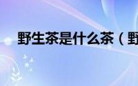 野生茶是什么茶（野生茶的功效与作用）