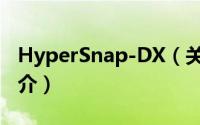 HyperSnap-DX（关于HyperSnap-DX的简介）