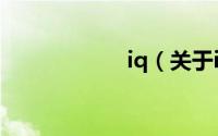 iq（关于iq的简介）