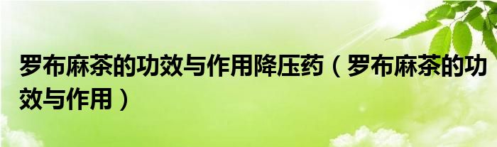 罗布麻茶的功效与作用降压药（罗布麻茶的功效与作用）