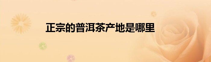 正宗的普洱茶产地是哪里