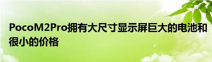 PocoM2Pro拥有大尺寸显示屏巨大的电池和很小的价格