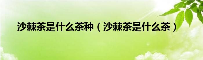 沙棘茶是什么茶种（沙棘茶是什么茶）