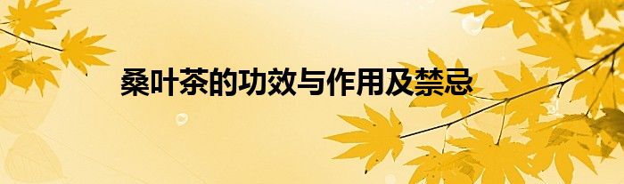 桑叶茶的功效与作用及禁忌