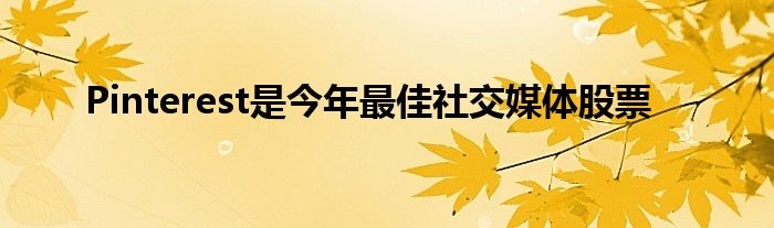 Pinterest是今年最佳社交媒体股票