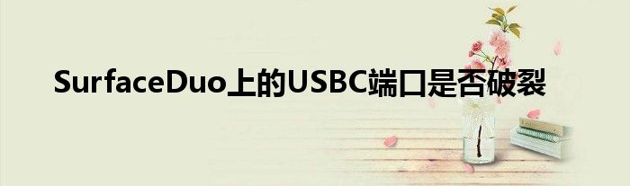 SurfaceDuo上的USBC端口是否破裂