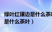 绿叶红镶边是什么茶叶是什么茶（绿叶红镶边是什么茶叶）