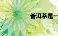 普洱茶是一种什么茶？