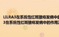 LILRA3在系统性红斑狼疮发病中的作用及其分子机制研究（关于LILRA3在系统性红斑狼疮发病中的作用及其分子机制研究的简介）